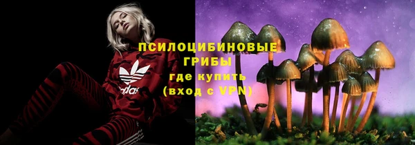 метадон Алзамай