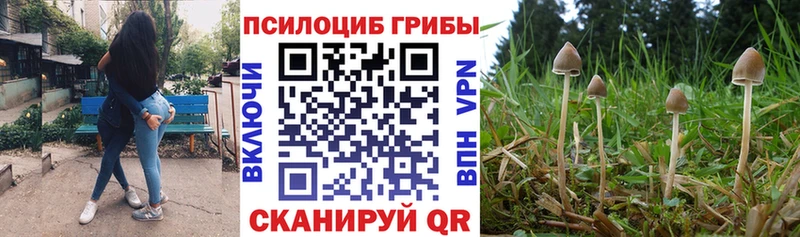 наркошоп  Анива  Псилоцибиновые грибы Psilocybe 